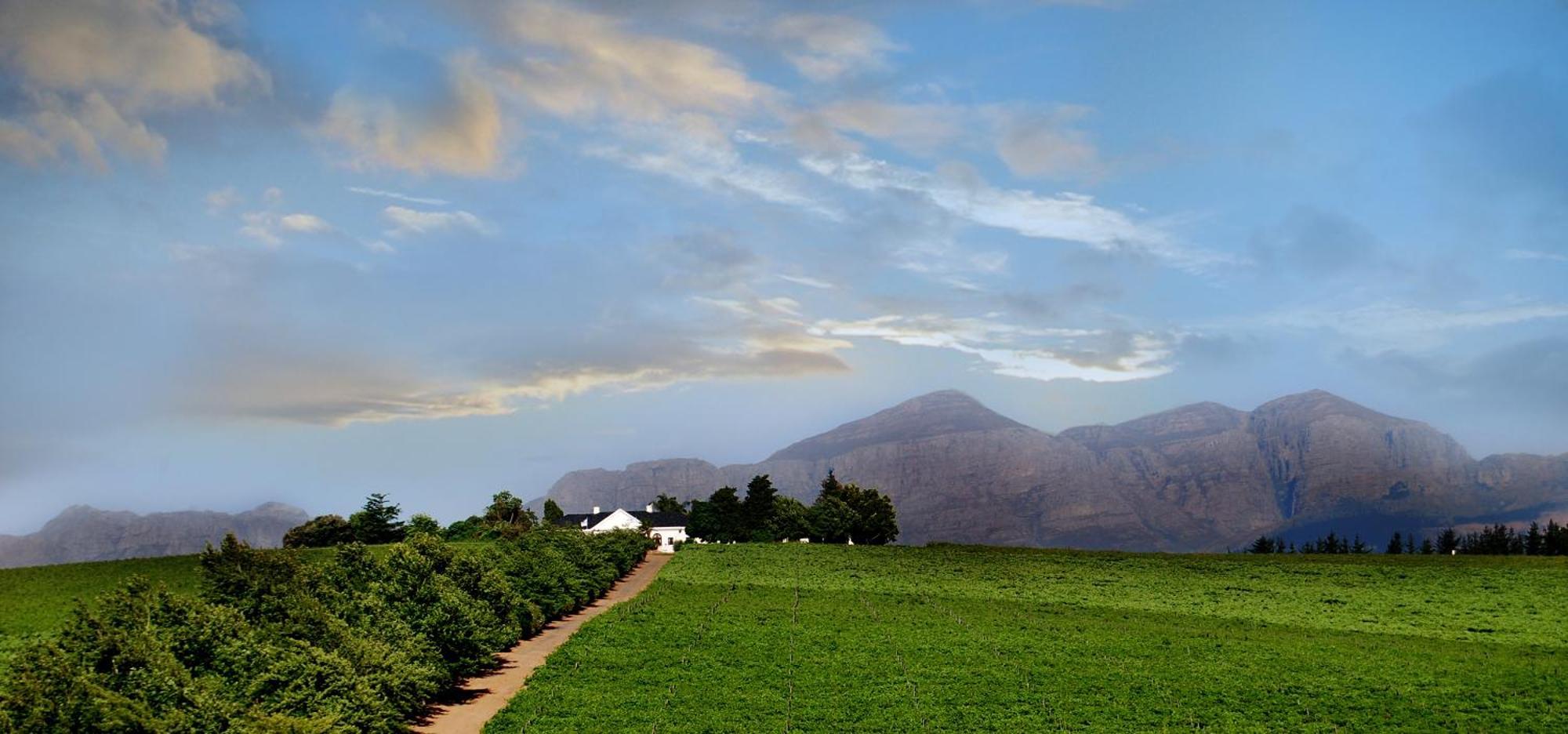 Bakenhof Winelands Lodge Paarl Luaran gambar
