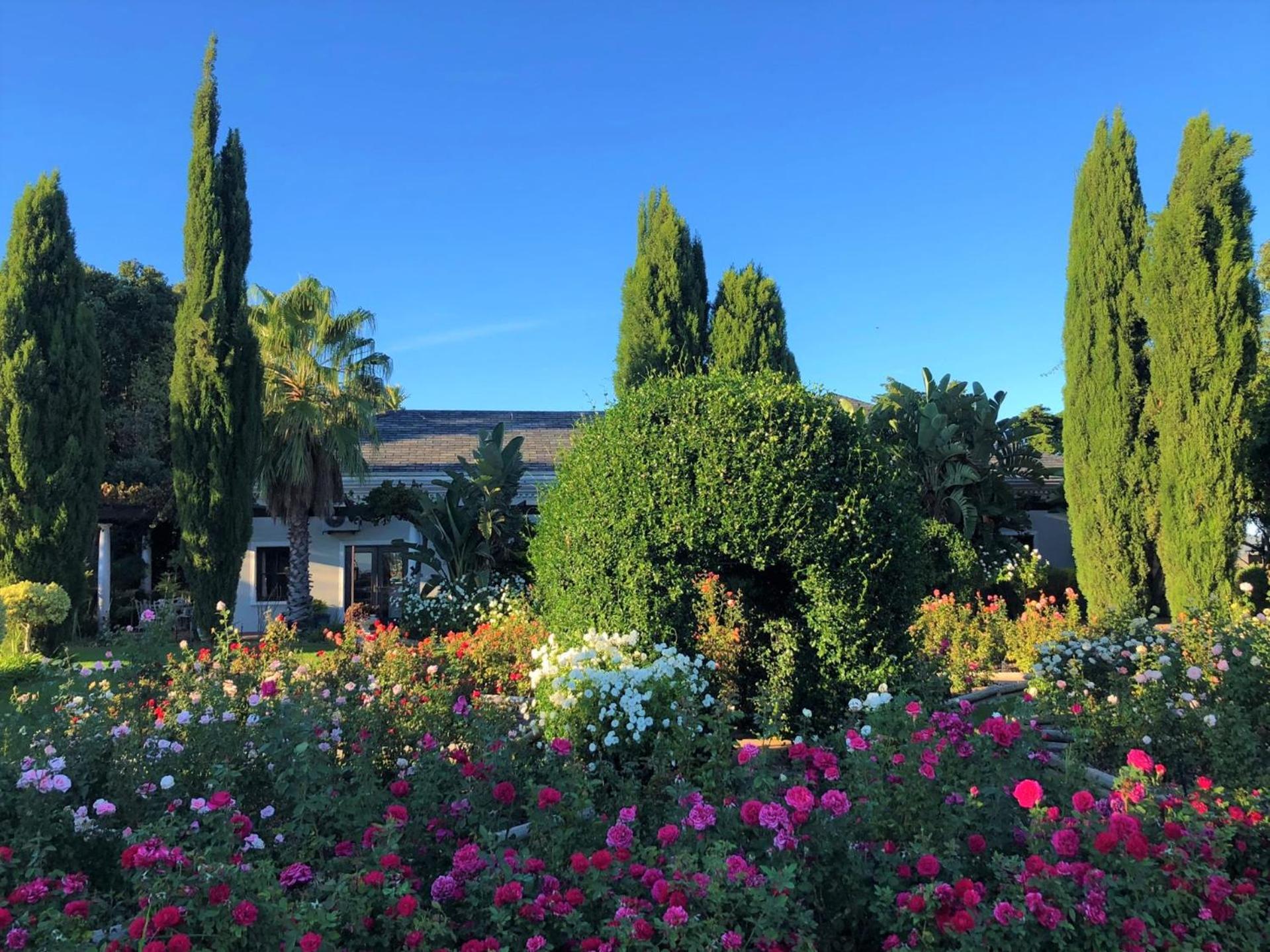 Bakenhof Winelands Lodge Paarl Luaran gambar