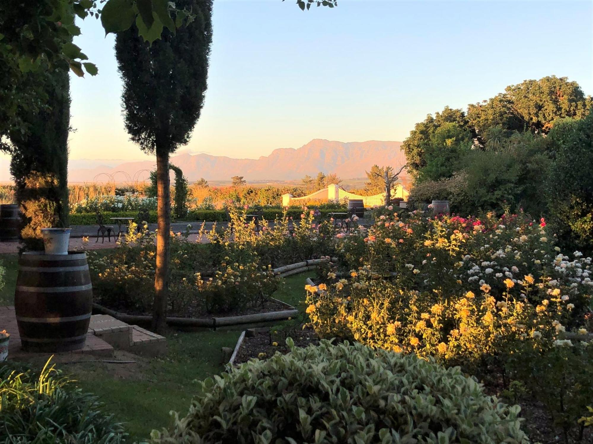 Bakenhof Winelands Lodge Paarl Luaran gambar